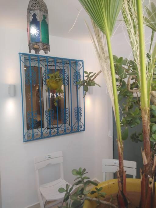 Cosy Appartement In "Sidi Bou Said" מראה חיצוני תמונה