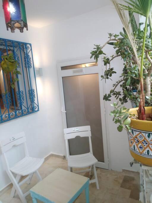 Cosy Appartement In "Sidi Bou Said" מראה חיצוני תמונה