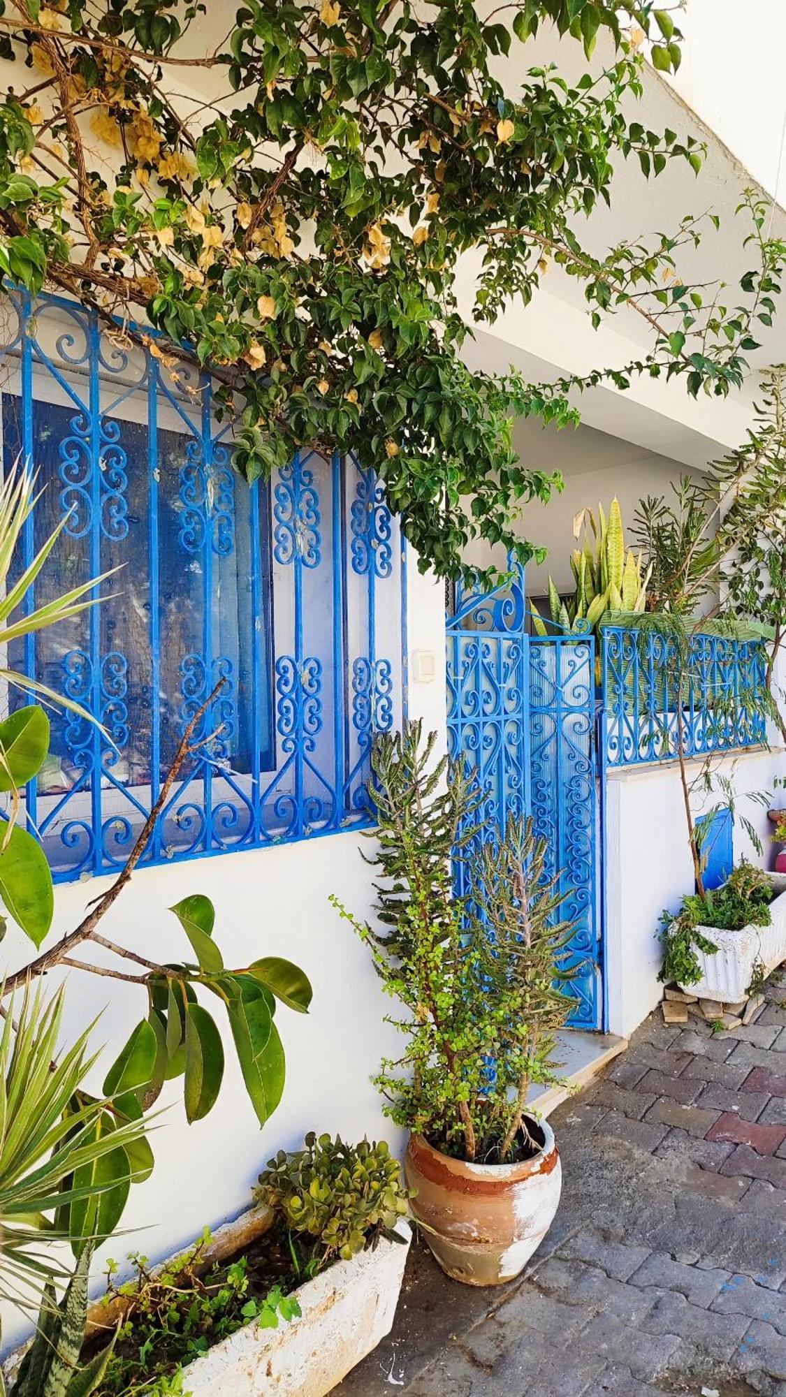 Cosy Appartement In "Sidi Bou Said" מראה חיצוני תמונה